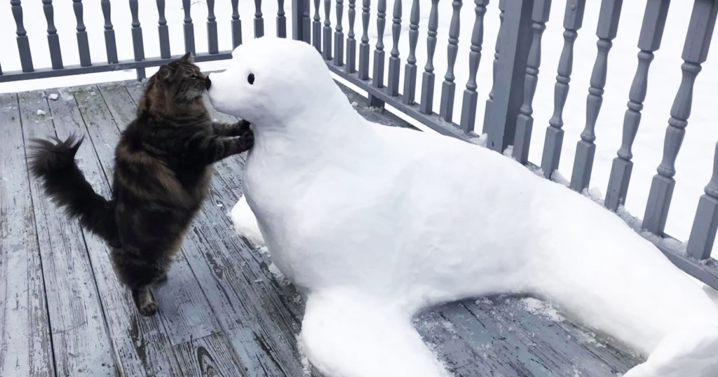 Snow sculpture of seal being kissed by cat