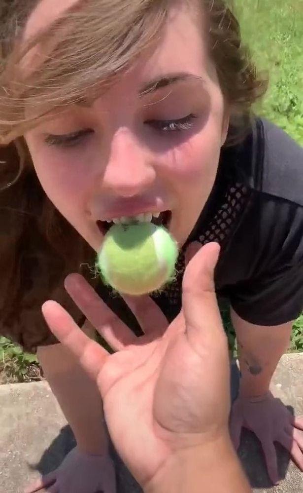 Jenna acting as a puppy girl with tennis ball in mouth