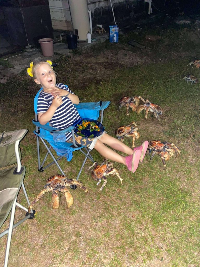 little girl surprised by coconut crabs showing up to an evening picnic in Australia 