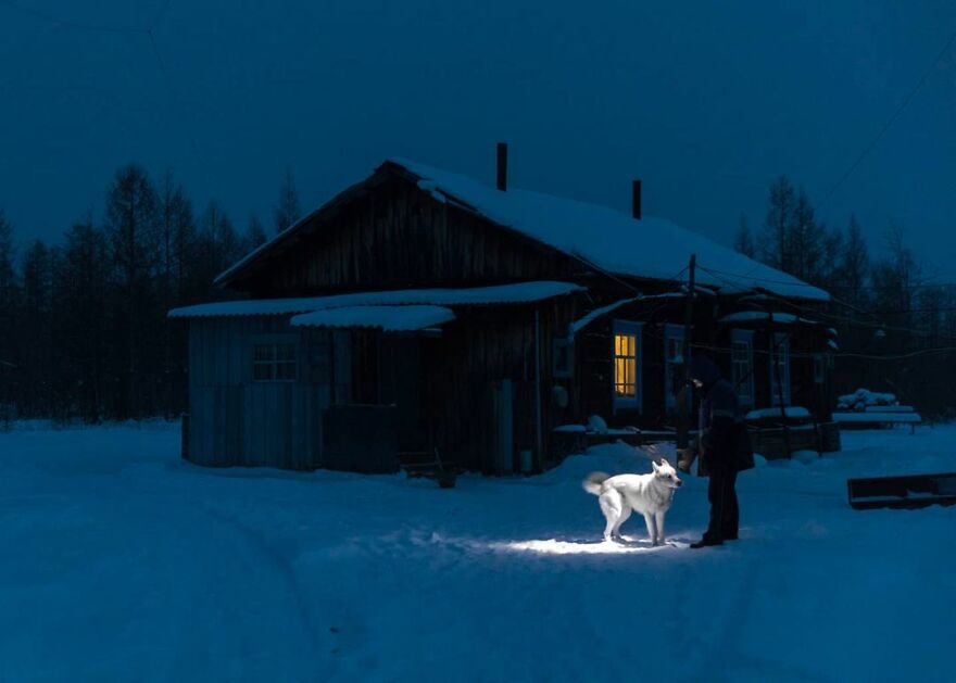 Outside of a cabin a man is shining a light on a husky. Photo by Aleksey Vasiliev