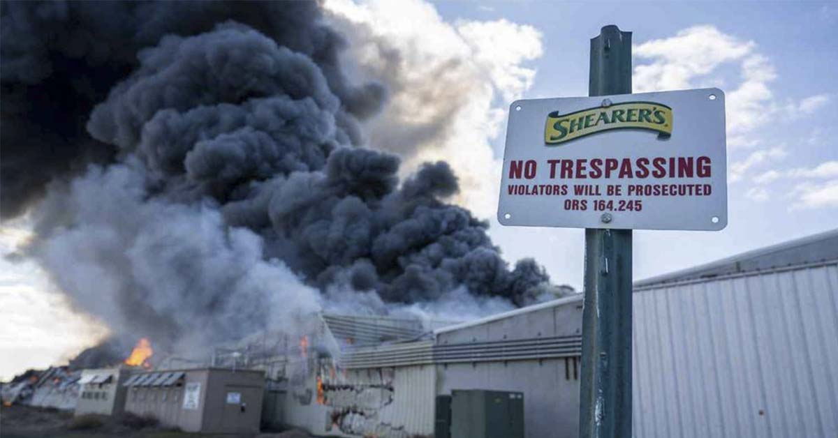 What's up with all these food processing plants going up in flames in ...