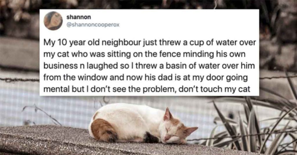 Woman Dumps Water On a Kid After He Dumps Water On Her Cat And It Spar...